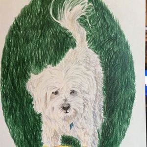 Meet your Posher, Johanna